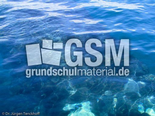 Buckelwal (17 von 57).jpg